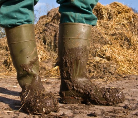 Green wellies covered in mud in front of a hay bale