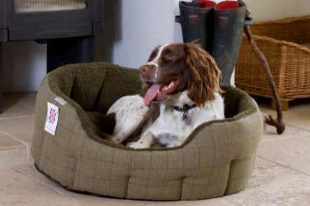 Muddy Paws Tweed Dog Bed with springer spaniel inside.