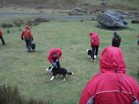 Training with SARDA: the Search and Rescue Dogs Association