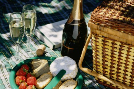 Photograph of a picnic with champagne, camembert, bread and strawberries