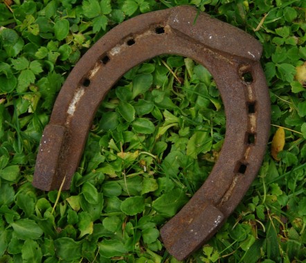 Rusty horseshoe resting on clover
