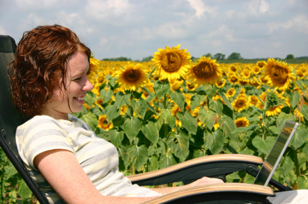 Woman using a laptop in a field of sunflowers