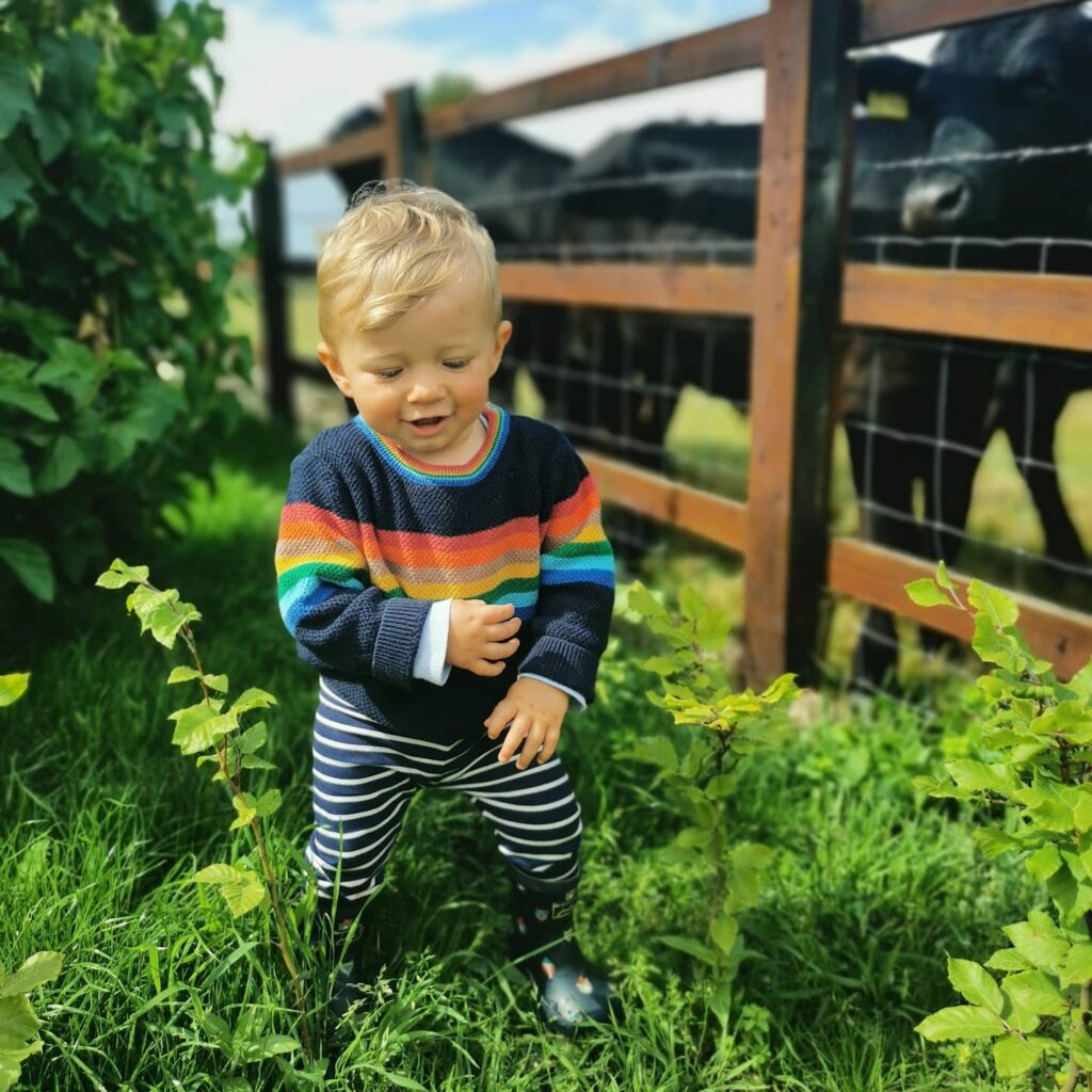 Born Muddy: the boy who adores beef cattle