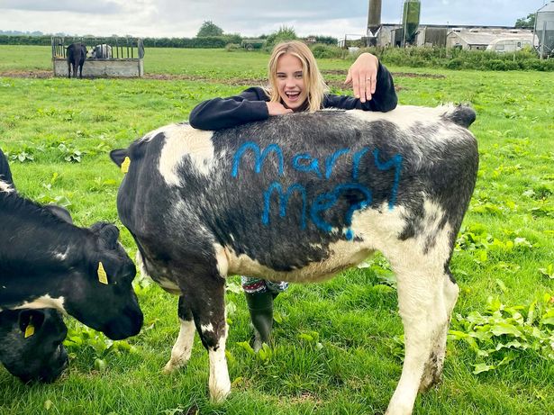 Love moooves in mysterious ways for engaged Somerset duo