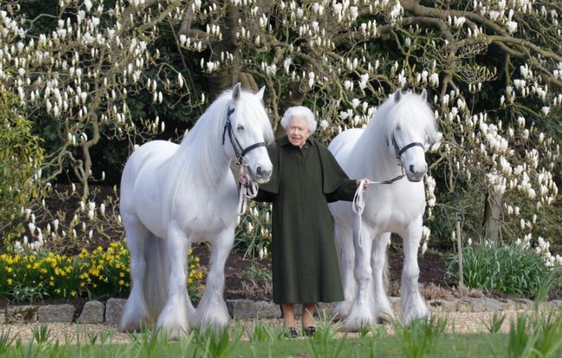 How mud lovers share the Queen’s love of an equine selfie!