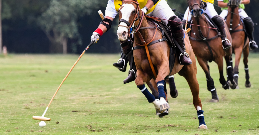 Why Polo has more pulling power than football!