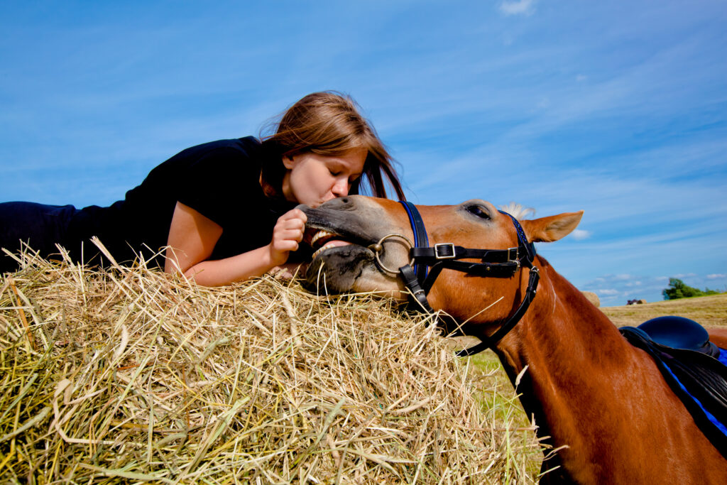 11 reasons to date a horse lover