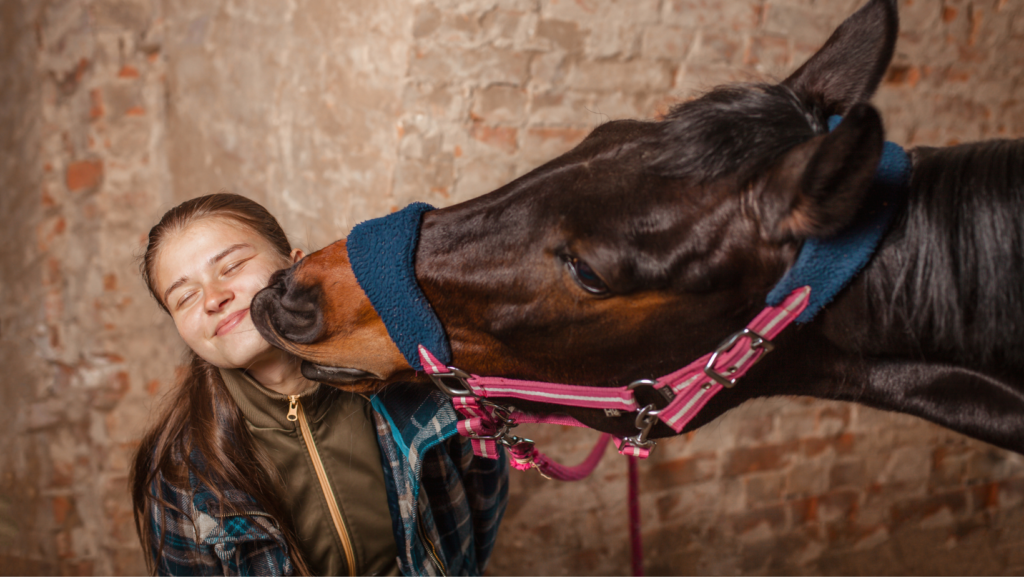 Equestrian dating is hot to trot across the UK.