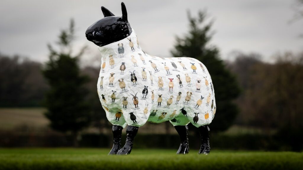 Flocking to the Royal Highland Show?