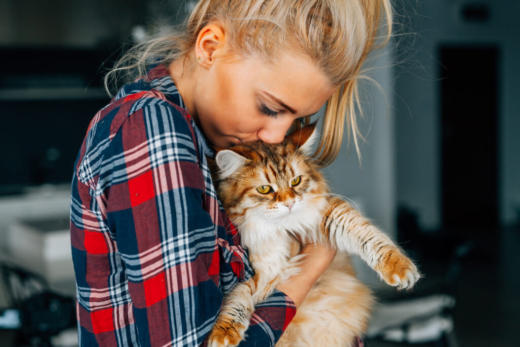 Reasons cat lovers make purrrfect life partners